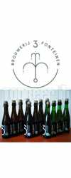 3 FONTEINEN With A Platinum Coating Box 37,5Cl