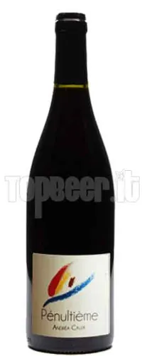 Andrea Calek Penultieme 75Cl