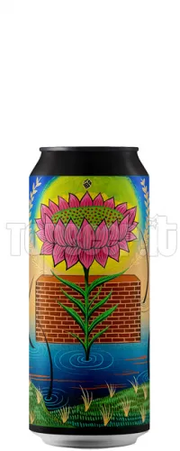 Antikorpo Kreuzberger Nachte Lattina 40Cl