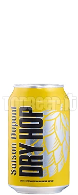 Dupont Saison Dry Hopping Lattina 33Cl