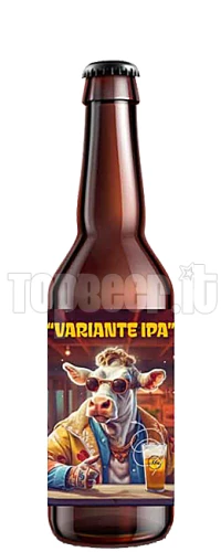 Mukkeller Variante Ipa 50Cl