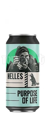 Wild Raccoon Purpose Of Life Lattina 44Cl