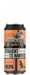 Wild Raccoon Straight To Harvest Lattina 44Cl