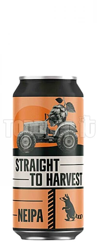 Wild Raccoon Straight To Harvest Lattina 44Cl