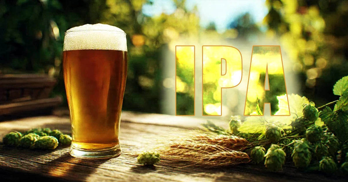 Pinta di birra IPA con luppolo: significato, caratteristiche e gusto dell’India Pale Ale