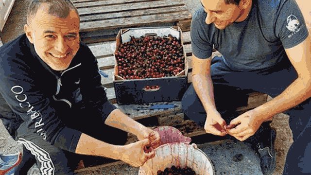 Birra artigianale Opperbacco | Topbeer La preparazione della frutta da usare in una birra sour del birrificio artigianale Opperbacco di Teramo | Topbeer