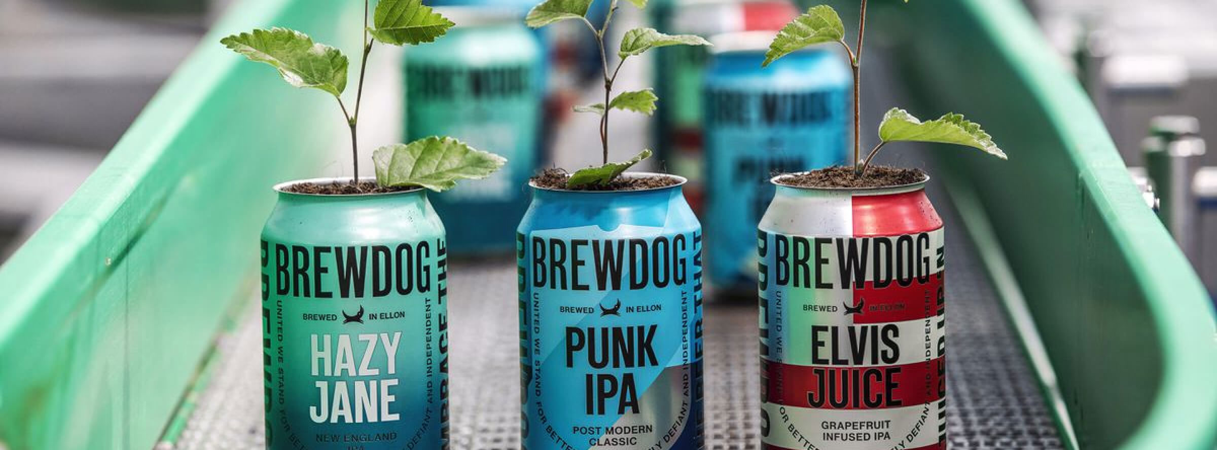 Birre Brewdog | Topbeer